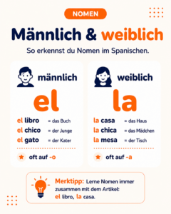 nomen-männlich-weiblich-im-spanischen-infografik