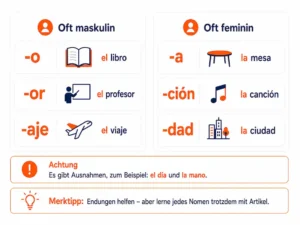spanische-artikel-und-nomen-endungen-erklärt